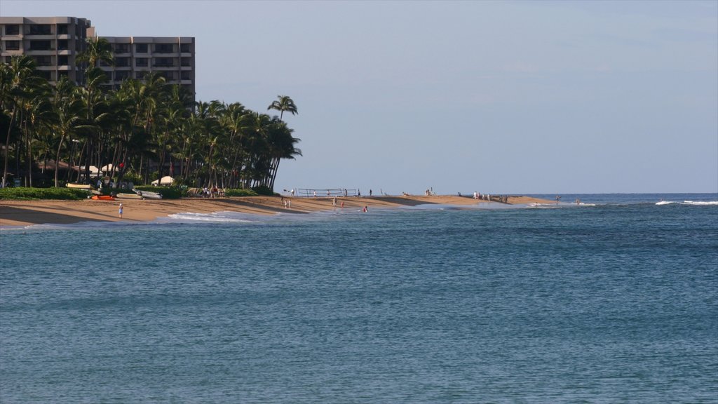 Kapalua Beach which includes general coastal views