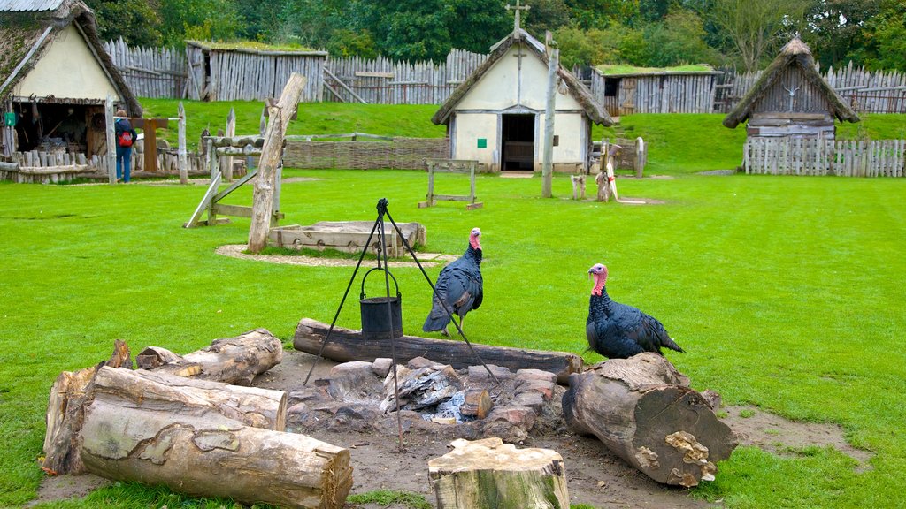 Mountfitchet Castle featuring bird life, heritage elements and château or palace