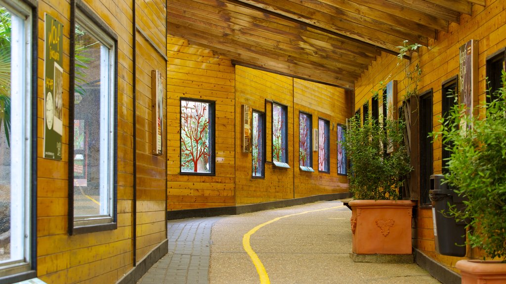 Colchester Zoo showing interior views and zoo animals