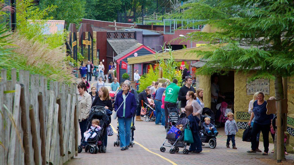 Colchester Zoo mostrando animales de zoológico y también un gran grupo de personas