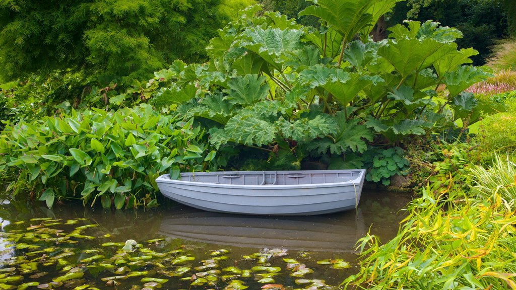 Beth Chatto Garden showing boating, a garden and a pond