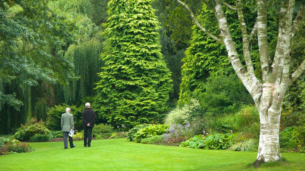 Beth Chatto Garden ofreciendo escenas forestales y un parque