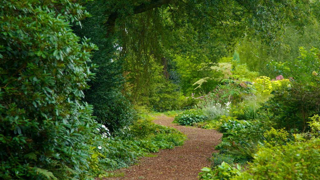 Beth Chatto Garden showing a park