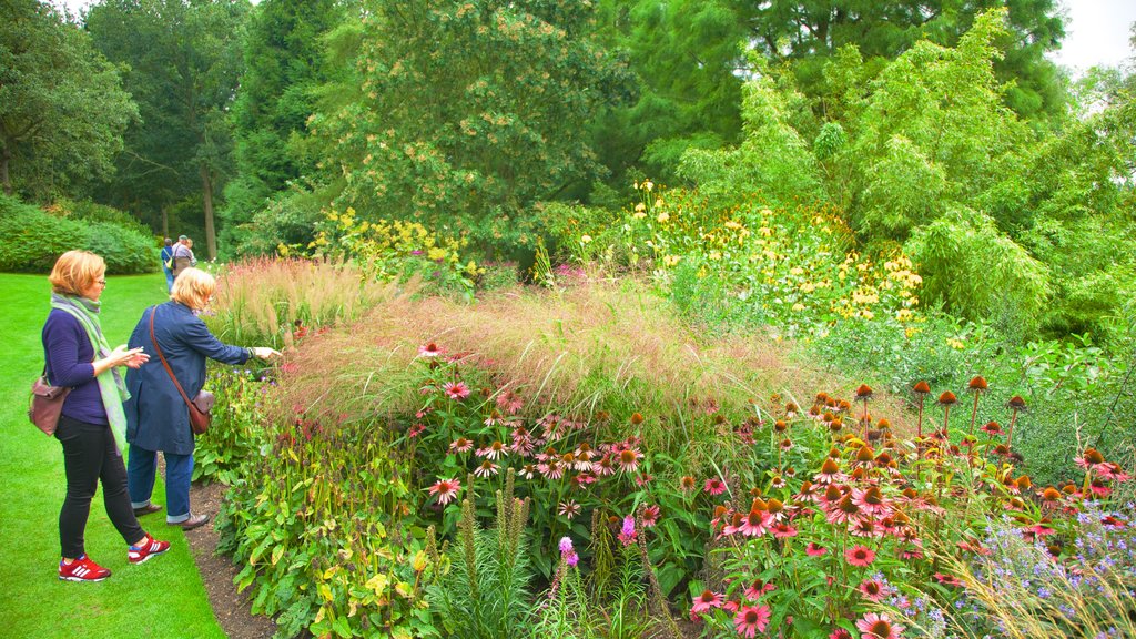 Beth Chatto Gardens que inclui flores e um jardim assim como um pequeno grupo de pessoas