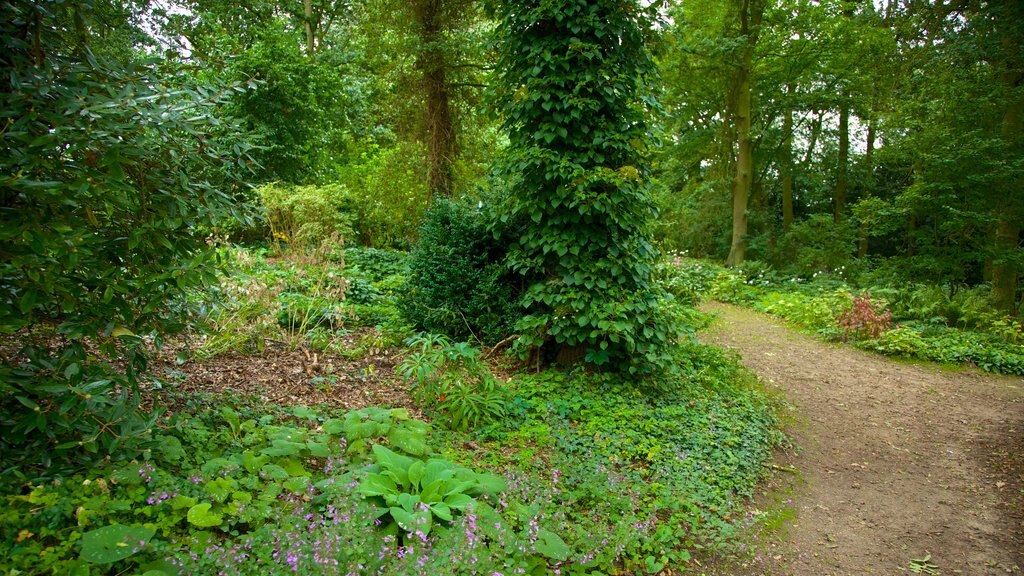 Beth Chatto Garden ofreciendo jardín y bosques