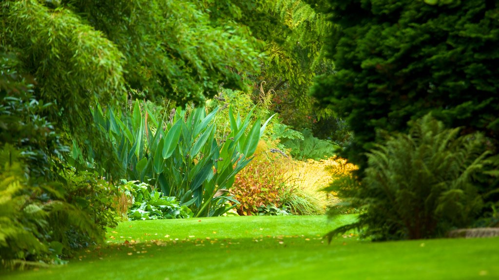 Beth Chatto Garden que incluye un parque