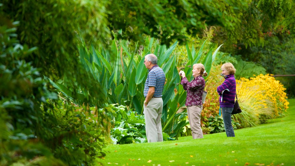 Beth Chatto Garden featuring a park as well as a small group of people