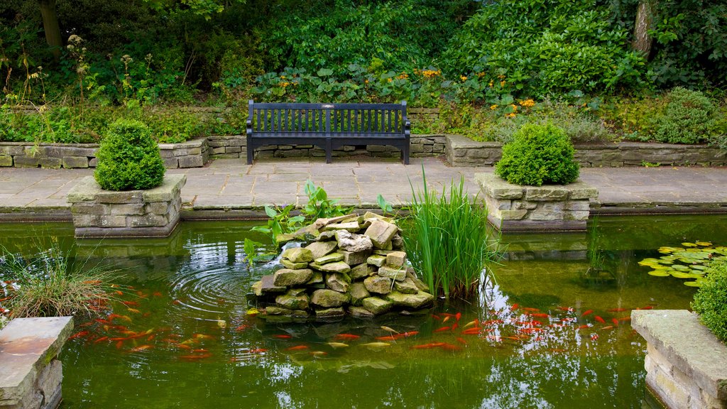 Colchester Castle Park featuring a garden and a pond