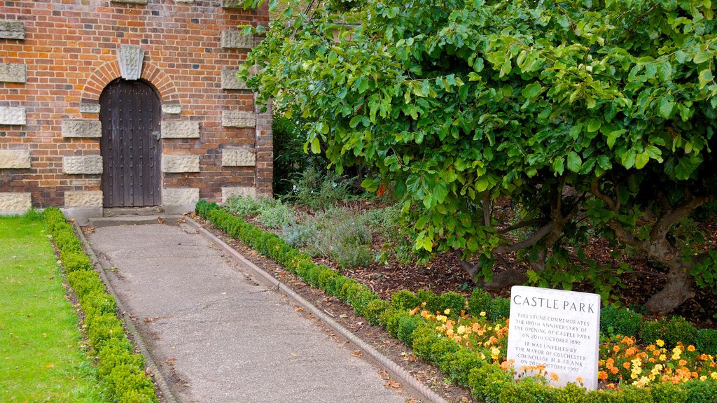 Colchester Castle Park que incluye jardín y arquitectura patrimonial