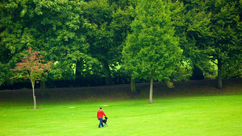 Taman Kastil Colchester menunjukkan taman