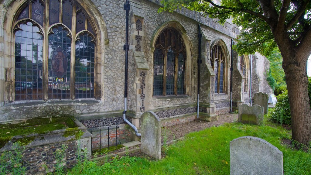 Colchester Natural History Museum showing a cemetery and heritage architecture