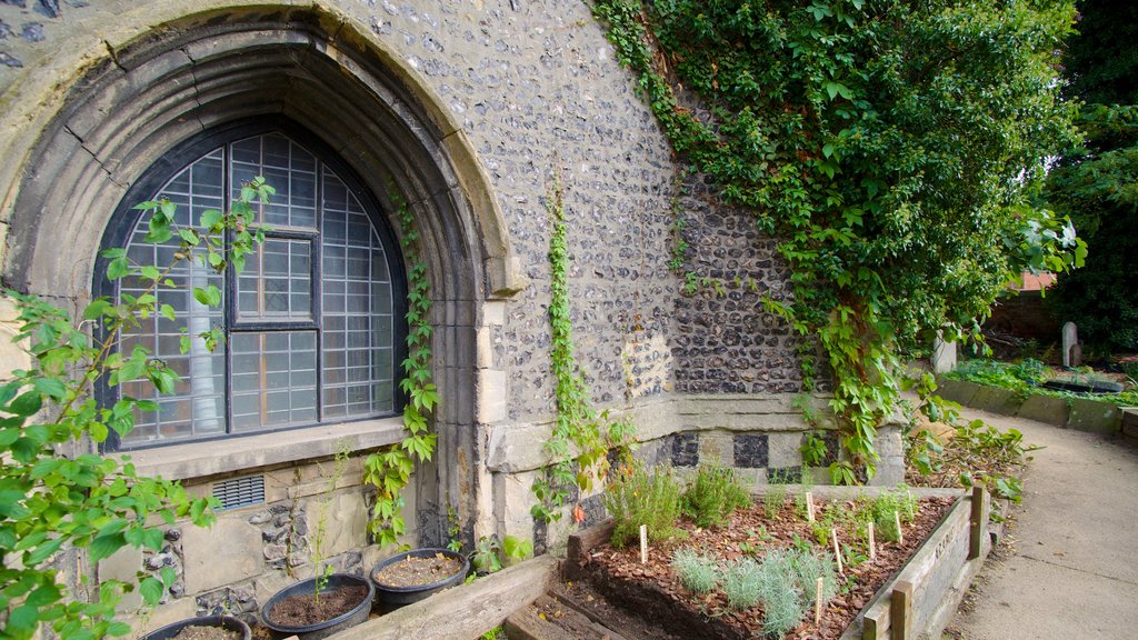 Colchester Natural History Museum mostrando patrimonio de arquitectura