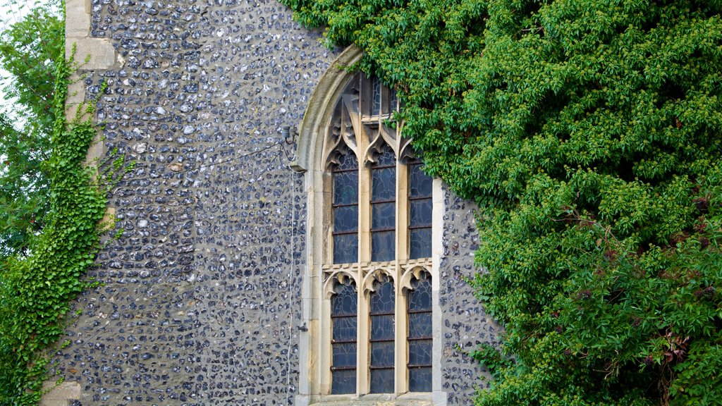 Natuurhistorisch museum Colchester toont historische architectuur