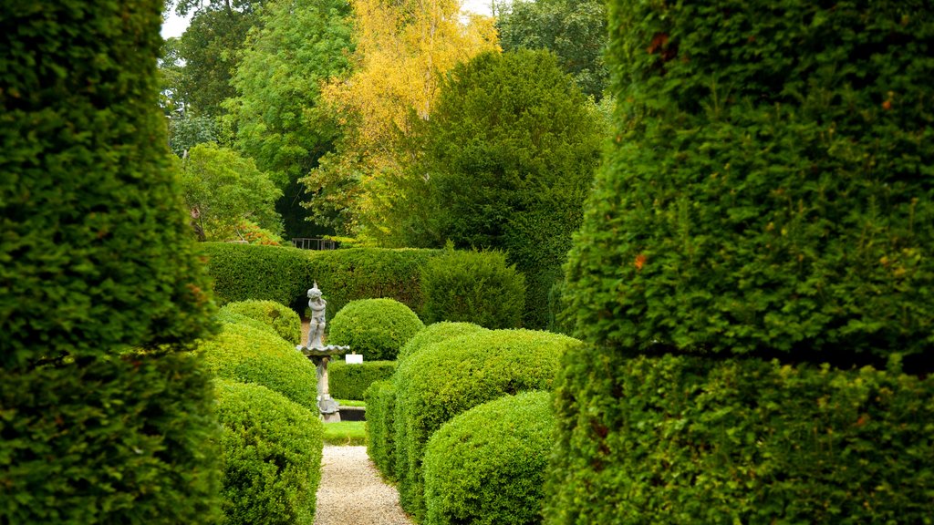 Bridge End Gardens which includes a garden