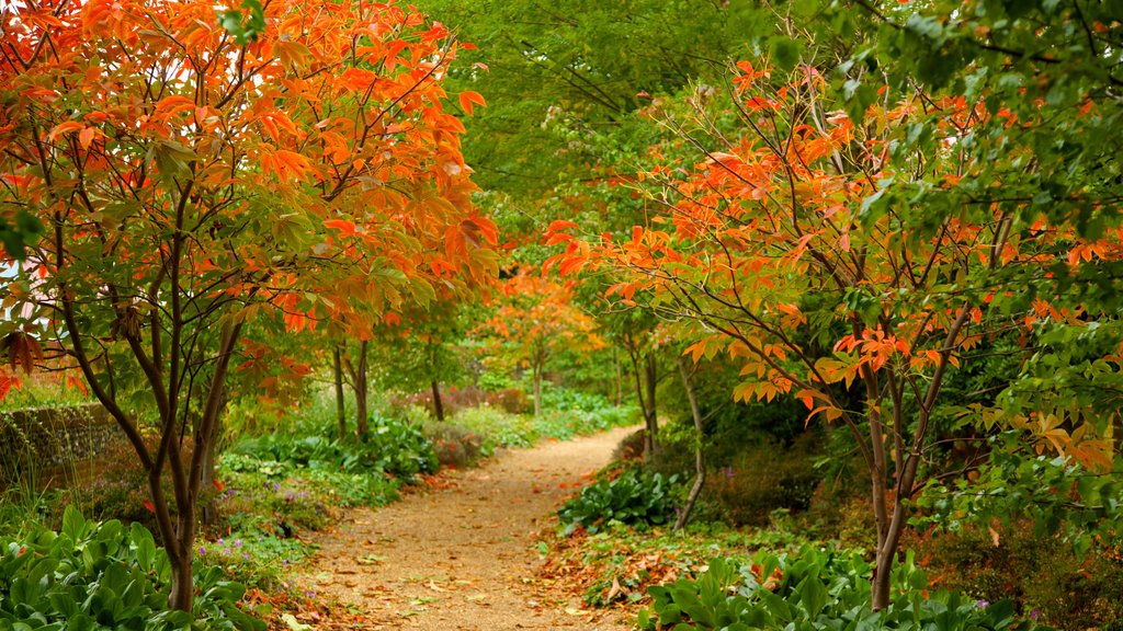 Bridge End Gardens featuring autumn leaves and a garden