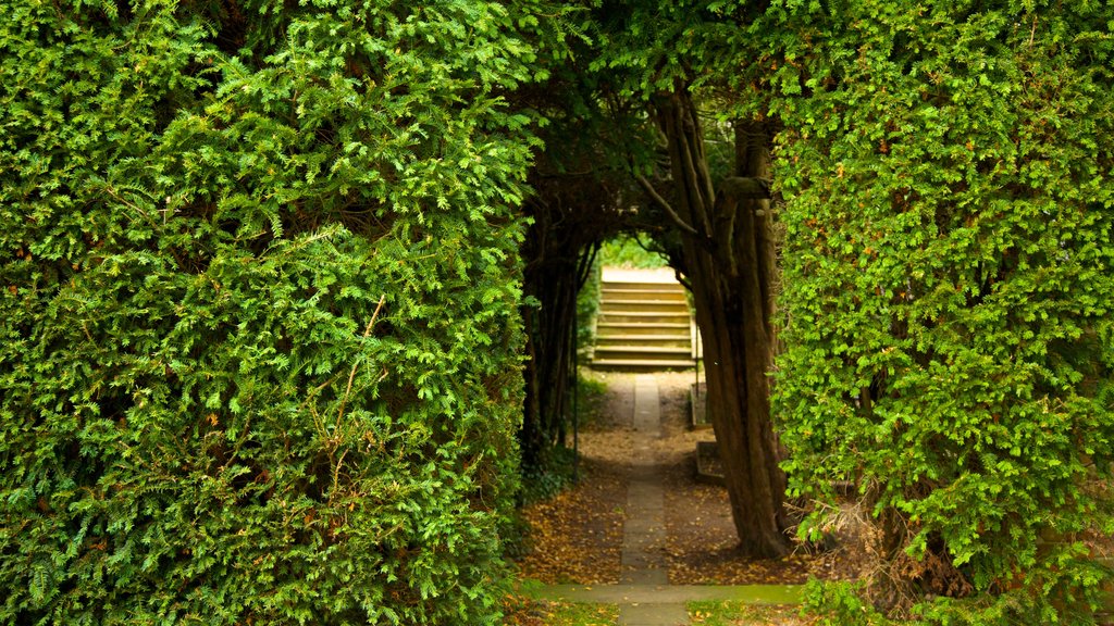 Bridge End Gardens featuring a park