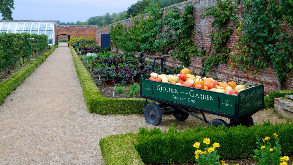 Audley End House which includes food, flowers and a garden