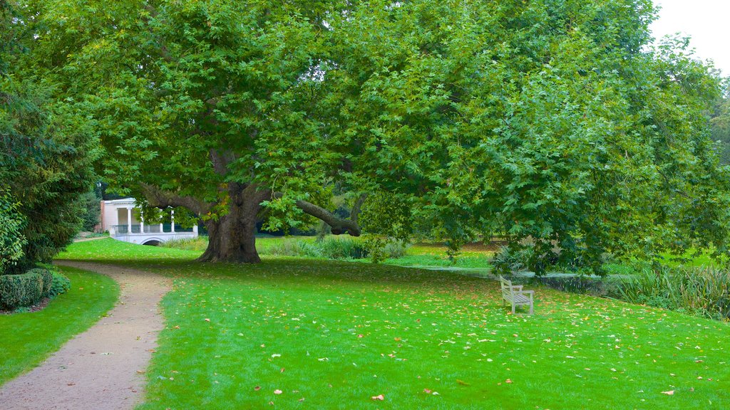 Saffron Walden which includes a park