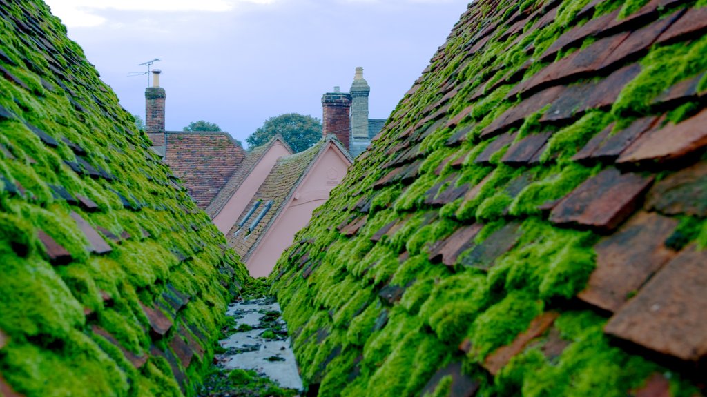 Saffron Walden ofreciendo arquitectura patrimonial