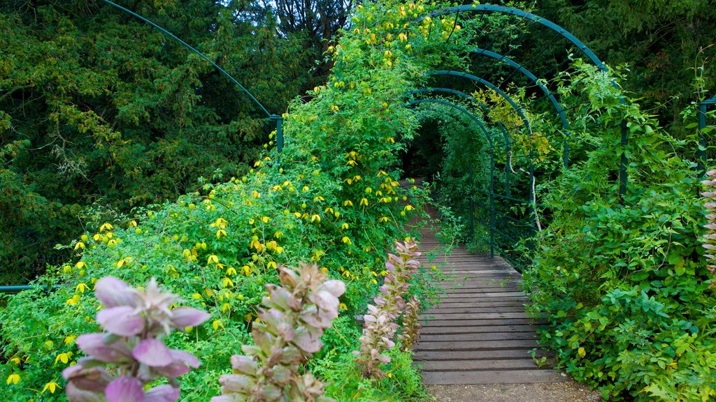 Audley End House showing a garden, forest scenes and flowers