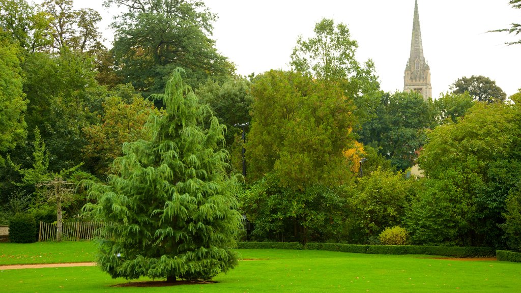 Bridge End Gardens showing a park