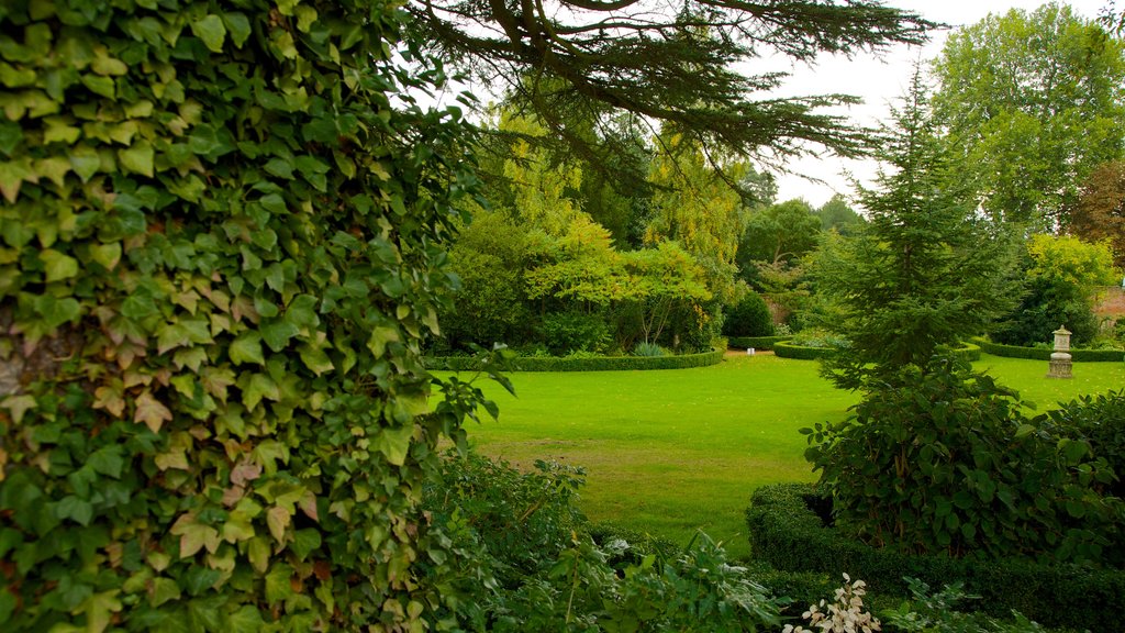 Bridge End Gardens showing a garden