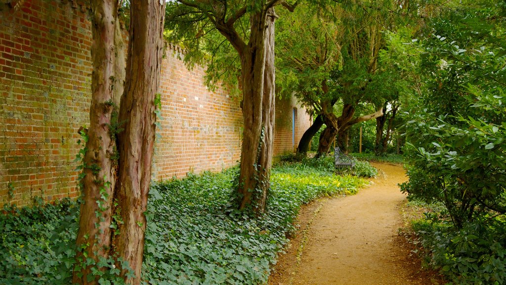 Bridge End Gardens showing a garden