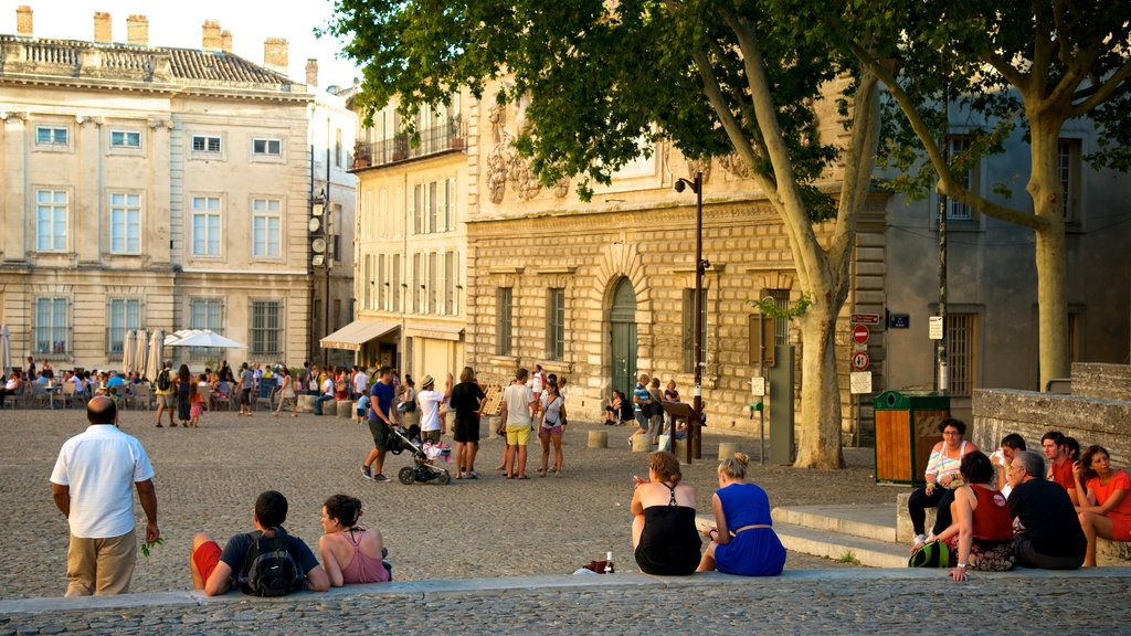 Palais des Papes showing a city, heritage architecture and a square or plaza