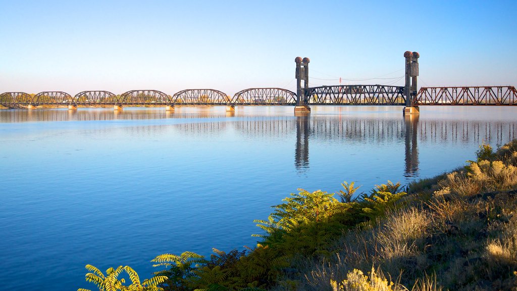 Tri-Cities montrant un pont et une rivière ou un ruisseau