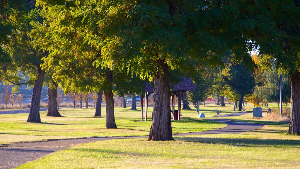 Tri-Cities showing a park