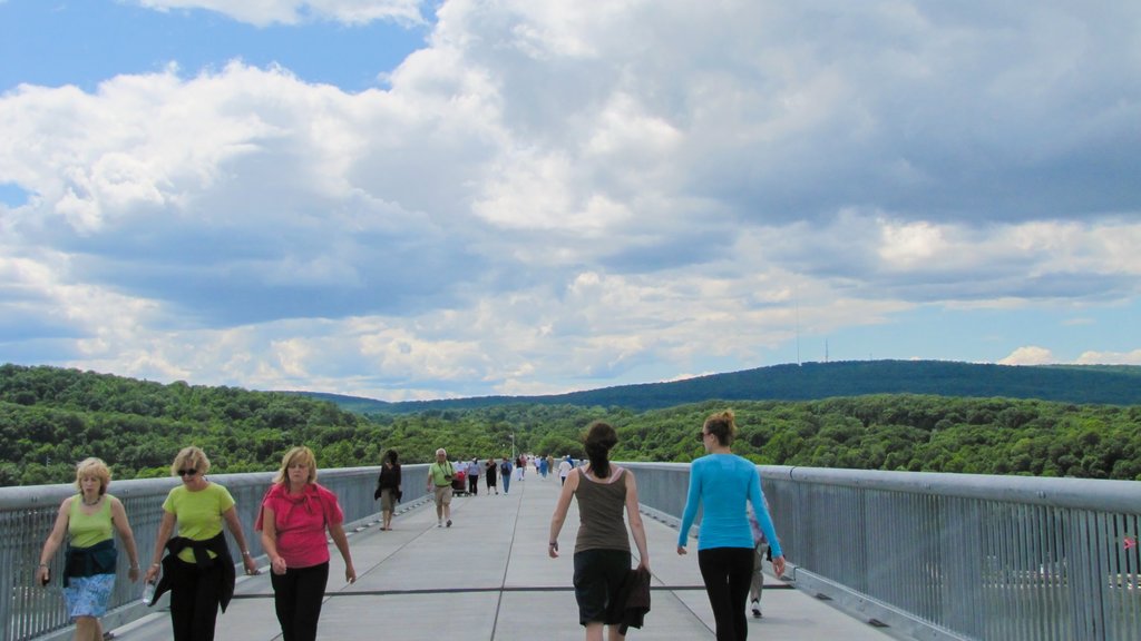 Poughkeepsie which includes hiking or walking and a bridge as well as a small group of people