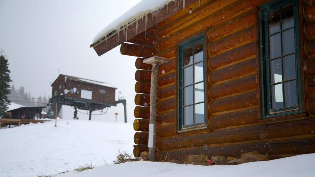 Telluride Ski Resort which includes snow, a house and mountains