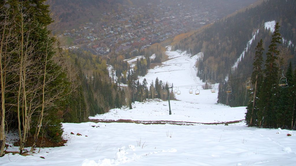 Telluride Ski Resort showing forest scenes, snow and mountains