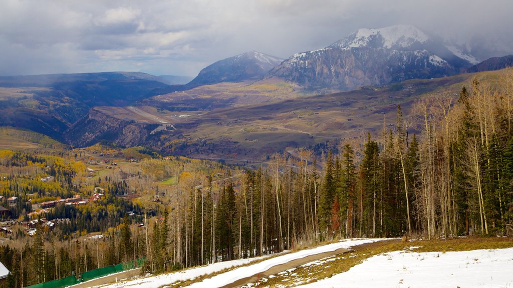 Telluride Ski Resort featuring snow, forest scenes and mountains