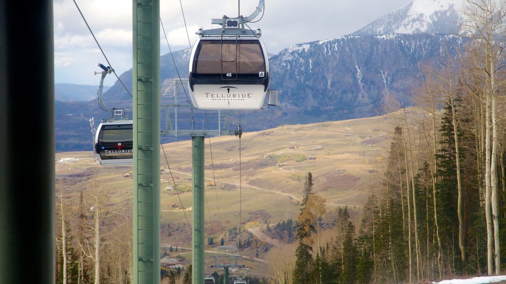 Telluride Ski Resort which includes mountains, forests and a gondola