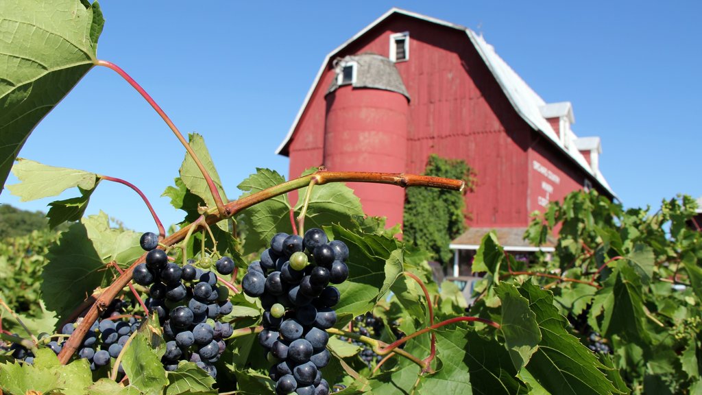 Door Peninsula showing farmland, heritage architecture and food