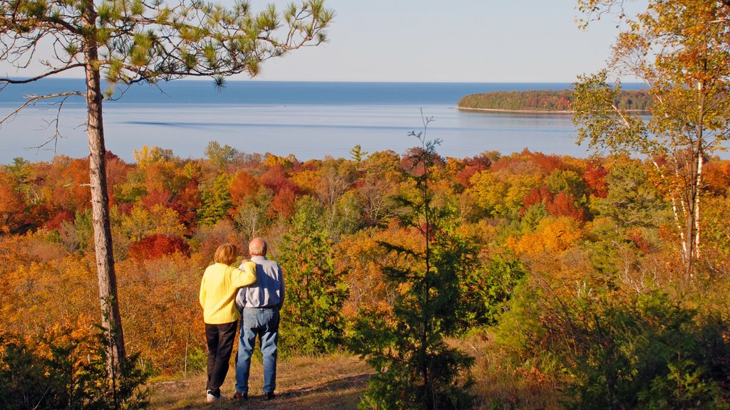 Door Peninsula featuring general coastal views, forests and fall colors