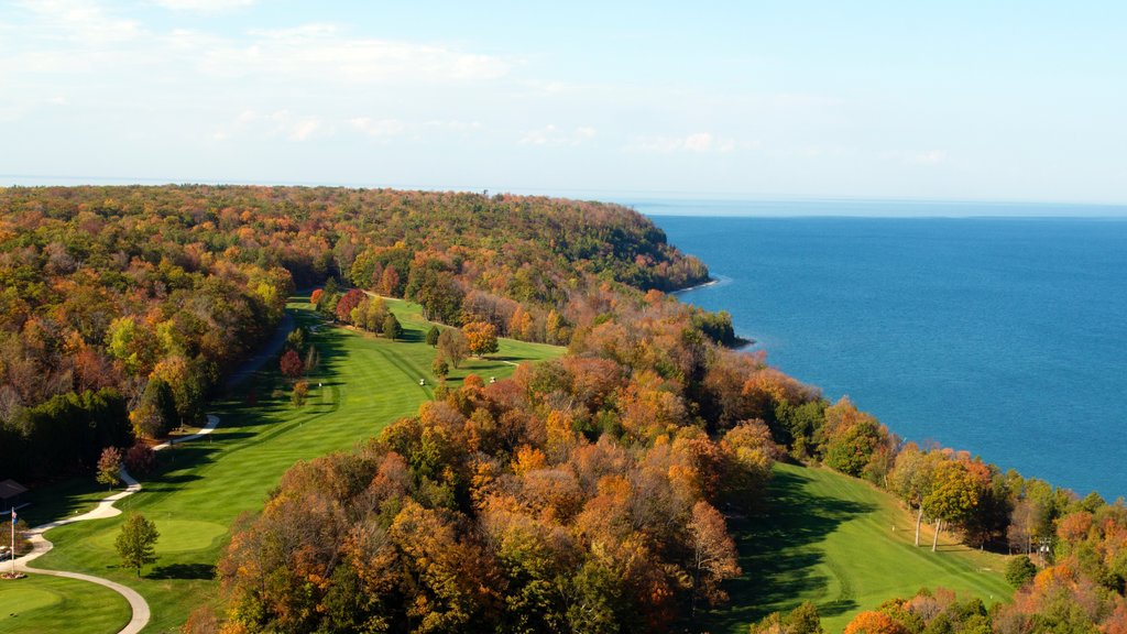 Péninsule de Door qui includes golf, paysages en forêt et paysages côtiers