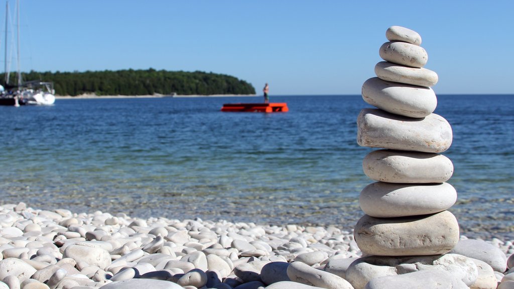 Door Peninsula showing a pebble beach and tropical scenes