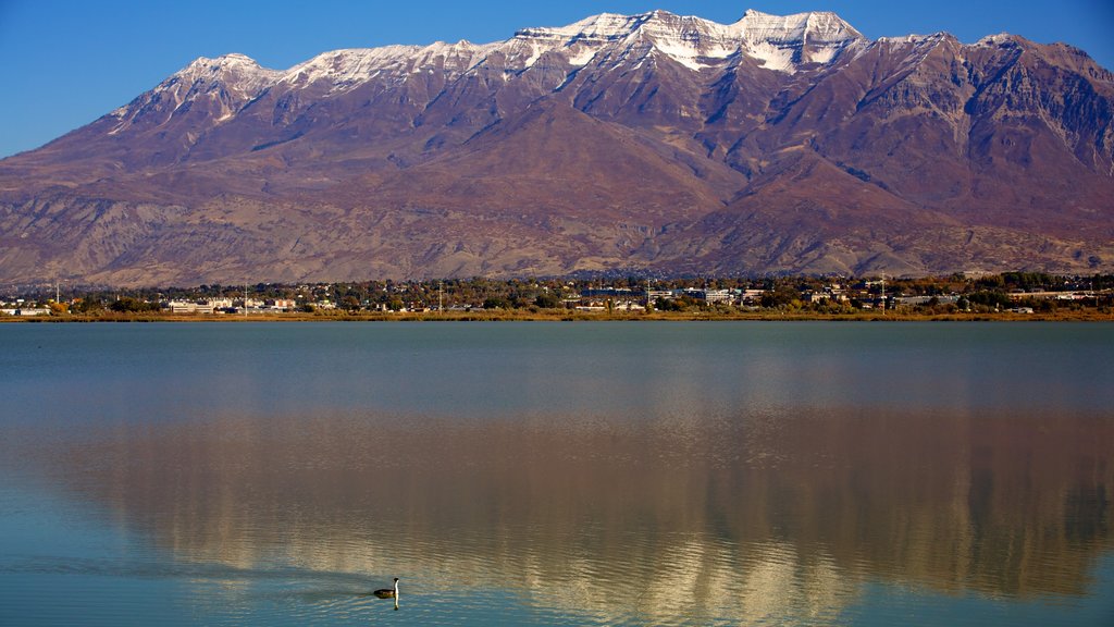 Parque Estatal Utah Lake que incluye un lago o abrevadero, un parque y montañas