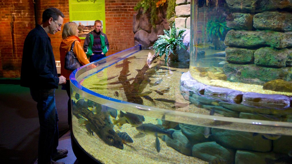 Greater Cleveland Aquarium which includes marine life and interior views as well as a small group of people