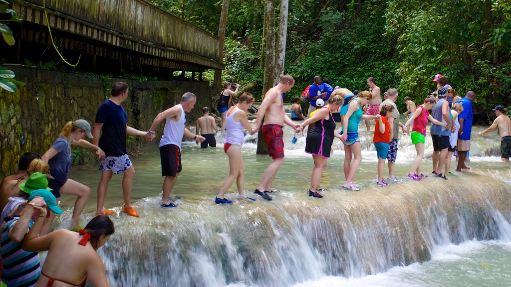 Dunn\'s River Falls showing a waterfall and hiking or walking as well as a large group of people