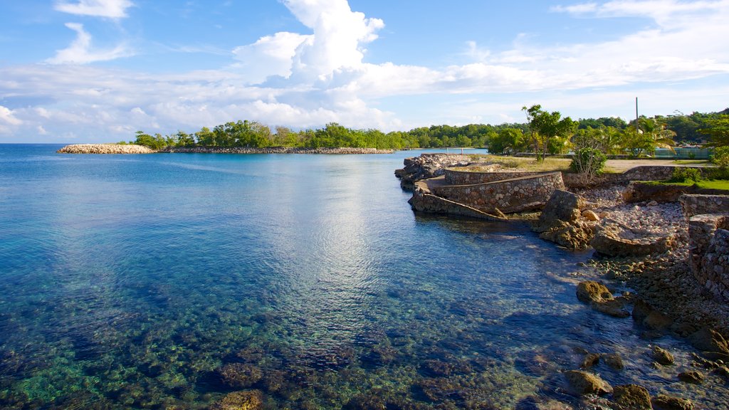 James Bond Beach showing tropical scenes and rugged coastline