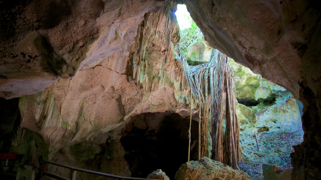 Cuevas Green Grotto que incluye cuevas