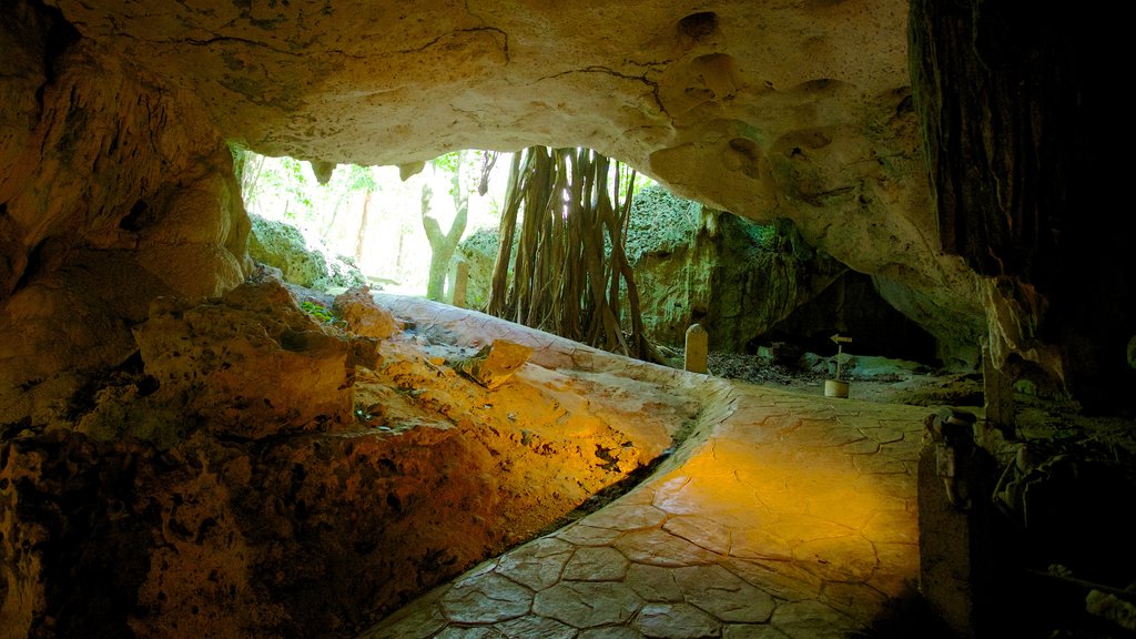 Green Grotto Caves mostrando cavernas e vistas internas