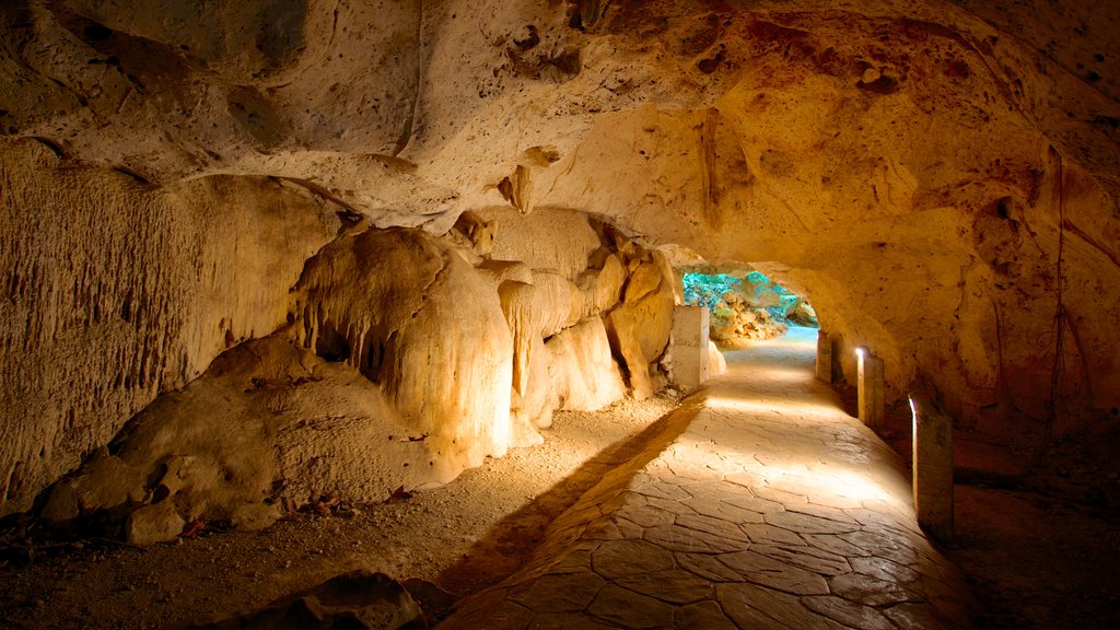 Green Grotto Caves featuring caves and interior views