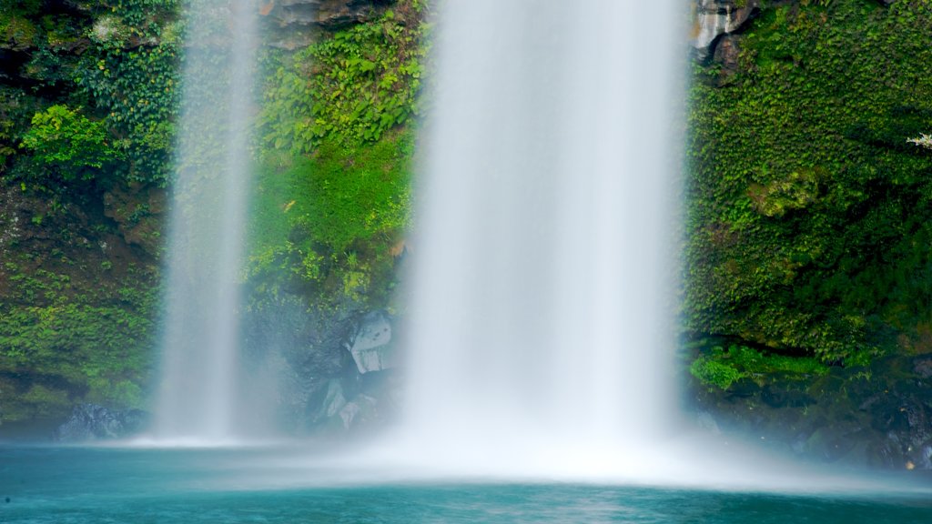 Waterval van Cheonjiyeon toont een cascade