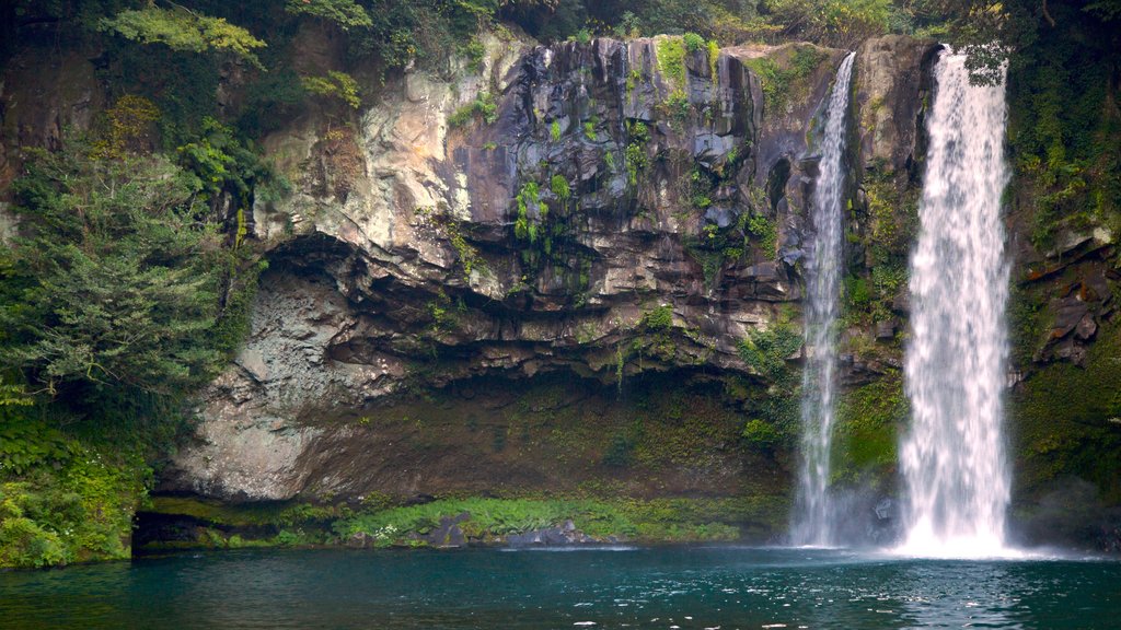 Cachoeira de Cheonjiyeon mostrando uma cascata