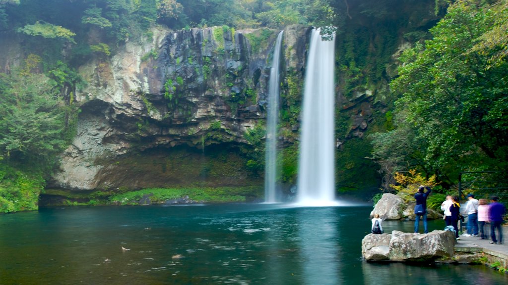 Cascadas de Cheonjiyeon ofreciendo una catarata