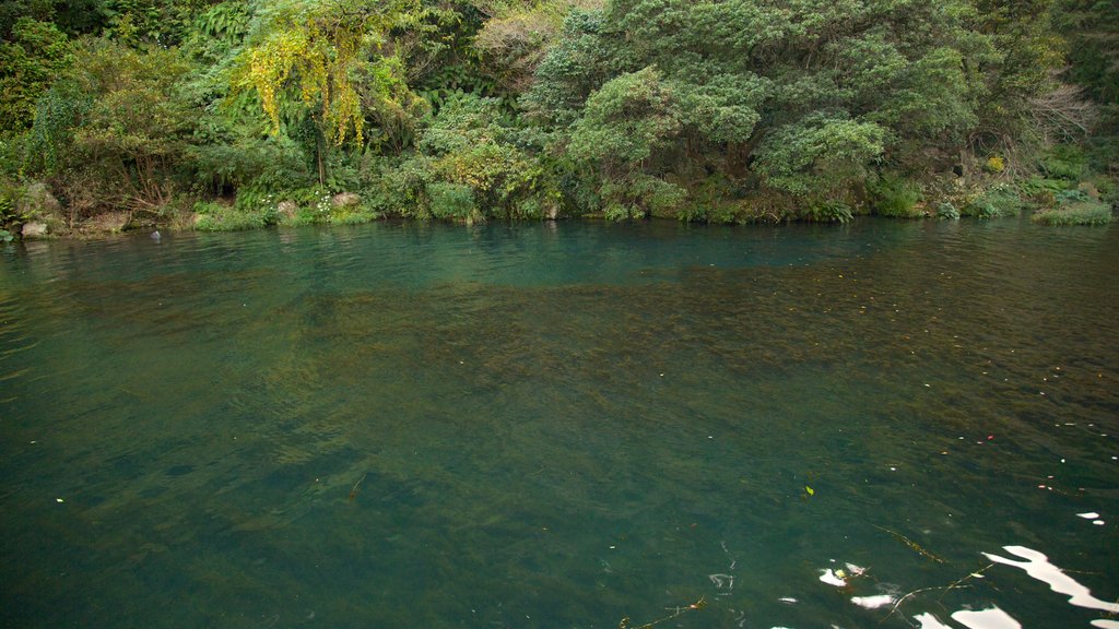 Cheonjiyeon Waterfall showing a river or creek